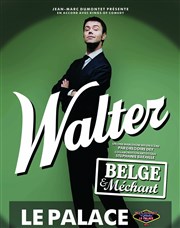 Walter dans Walter belge et méchant Thtre le Palace - Salle 4 Affiche