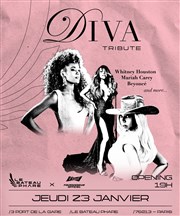 Diva's Tribute Bateau Phare Affiche