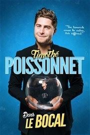 Timothe Poissonnet dans Le bocal Coul'Thtre Affiche