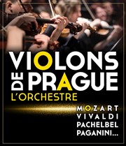 Violons de Prague | Lons le Saunier Eglise des Cordeliers Affiche