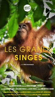 Wild Immersion : Expérience immersive en réalité virtuelle au coeur de la faune sauvage | Les Grands Singes Centre commercial la Toison d'Or Affiche