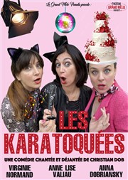 Les Karatoquées Thtre Grand Mlo Paradis Affiche