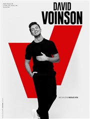 David Voinson Kursaal - Salle Jean Bart Affiche