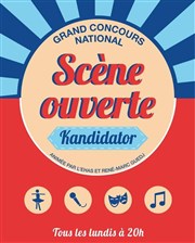 Kandidator Thtre Daunou Affiche