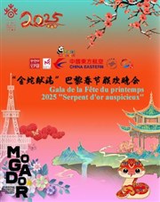 Gala du Nouvel An chinois 2025 : Serpent d'or auspicieux Thtre Mogador Affiche