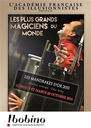 Les Mandrakes D'or Bobino Affiche