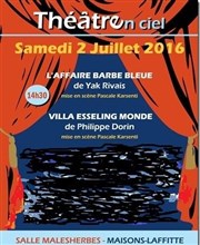 L'affaire barbe bleue - Villa Esseling Monde Salle Malesherbes Affiche