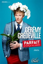 Gérémy Credeville dans G parfait et modeste Thtre  l'Ouest Affiche