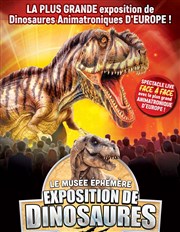 Le Musée Éphémère® : Exposition de dinosaures à Béziers parc des expos de Bziers Affiche