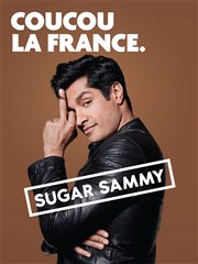 Sugar Sammy Thtre de la Cit Affiche