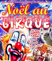 Noël au Cirque 2014 Parc des expositions  Metz Affiche