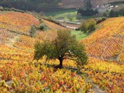 Il était une voix... Il était une vigne Thtre des Marronniers Affiche