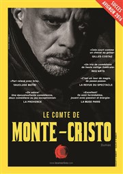 Le Comte de Monte Cristo Thtre du Roi Ren - Salle du Roi Affiche