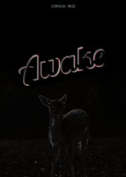 Awake La Loge Affiche