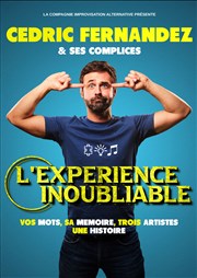 Cédric Fernandez dans L'expérience inoubliable Thtre Divadlo Affiche