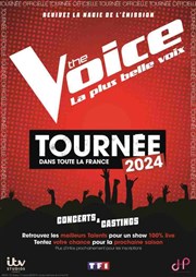 The Voice : la tournée 2024 Thatre de verdure Affiche