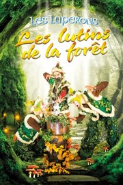 Les Lutins de la forêt Thtre des Grands Enfants Affiche