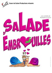 Salade d'embrouilles Coul'Thtre Affiche