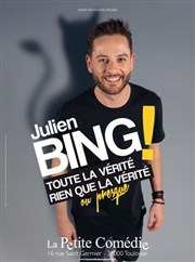 Julien Bing dans Toute la vérité, rien que la vérité ou presque La Comdie de Toulouse Affiche