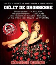 Délit de grossesse Thtre Comdie Odon Affiche