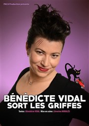 Bénédicte Vidal dans Bénédicte Vidal sort les griffes ! Spotlight Affiche