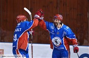 LHC Les Lions / Angers Patinoire Charlemagne Affiche