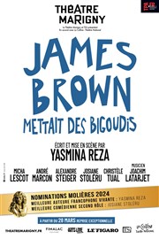 James Brown mettait des bigoudis Thtre Marigny - Salle Marigny Affiche