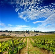 Atelier dégustation : les grands vins du sud Grand Htel la Cloche Affiche