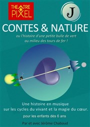 Contes et nature Thtre Pixel Affiche