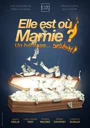 Elle est où Mamie ? | Soirée du Nouvel An Thtre de l'Observance - salle 1 Affiche