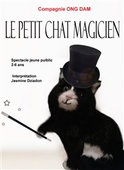 Le petit chat magicien Carr Rondelet Thtre Affiche