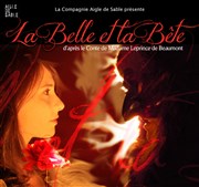 La Belle et la Bête Thtre Notre Dame - Salle Noire Affiche