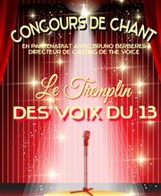 Finale du Tremplin des voix du 13 Thtre Mazenod Affiche