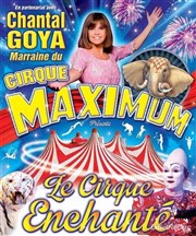 Le Cirque Maximum dans Le Cirque Enchanté | - Morteau Chapiteau Maximum  Morteau Affiche