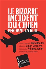 Le Bizarre Incident du chien pendant la nuit Thtre de la Tempte - Cartoucherie Affiche