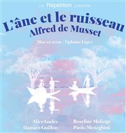 L'âne et le ruisseau Thtre Le Mlo D'Amlie Affiche