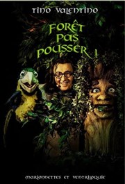 Forêt pas pousser Le Pont de Singe Affiche