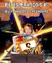 Fêtes François 1er - Au temps des chevaliers Chteau de Crvecoeur le Grand Affiche