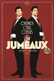 Les Jumeaux dans Grands crus classés La Nouvelle Eve Affiche