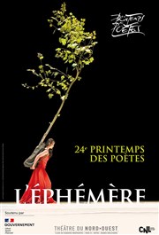 Fleur de cerisier : haïku/contes/légende du Nô: La robe de plumes | Printemps des poètes Thtre du Nord Ouest Affiche