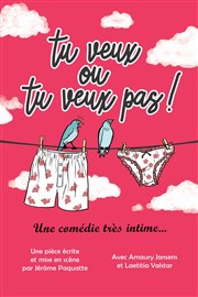 Tu veux ou tu veux pas ! Aux Deux Amours Affiche