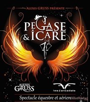 Cirque Alexis Gruss dans Pégase & Icare Znith de Rouen Affiche