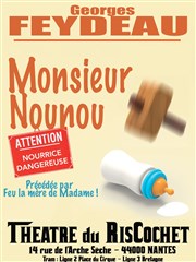 Monsieur Nounou Thtre du RisCochet Nantais Affiche