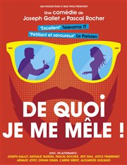 De quoi je me mêle ! Les Enfants du Paradis - Salle 2 Affiche