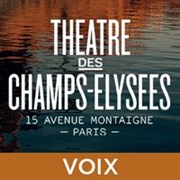 Roberto Alagna, ténor Thtre des Champs Elyses Affiche