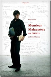 Régis Florès dans Mr Malaussène au théâtre Attila Thtre Affiche