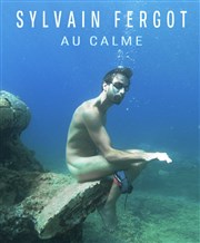 Sylvain Fergot dans Au calme La Petite Loge Thtre Affiche