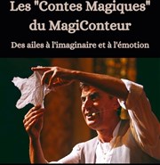 Magiconteur Les Rendez-vous d'ailleurs Affiche