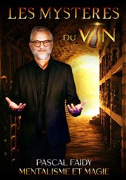 Pascal Faidy dans Les mystères du vin La Comdie de Nmes Affiche