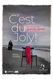 C'est du Joly ! Petit procès pour grande dame Thtre Pierre de Lune Affiche